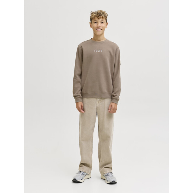 Jack & Jones Jcopoint sweat badge crew neck bf jnr taupe 3209.77.0006 large