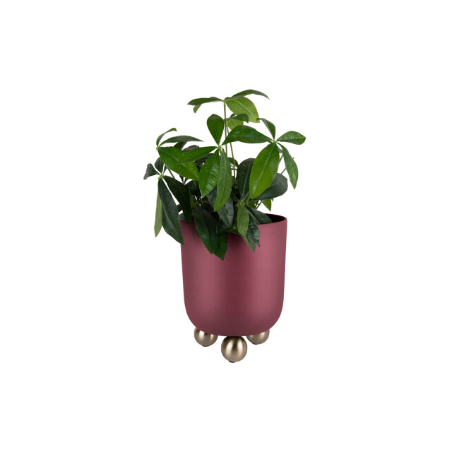 Present Time bloempot estilo large bordeaux 3259714 large