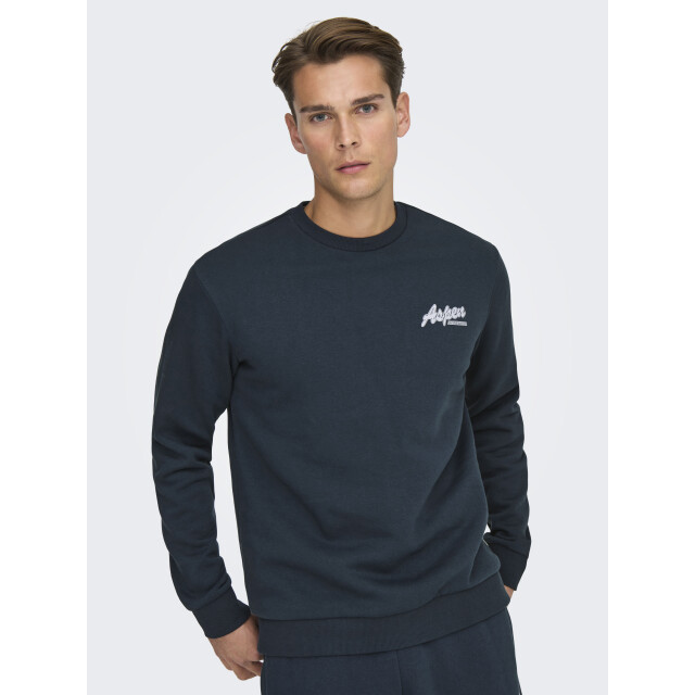 Only & Sons onsceres ski ls reg crew swe cs 22037350 nights 05711.211.0076 large