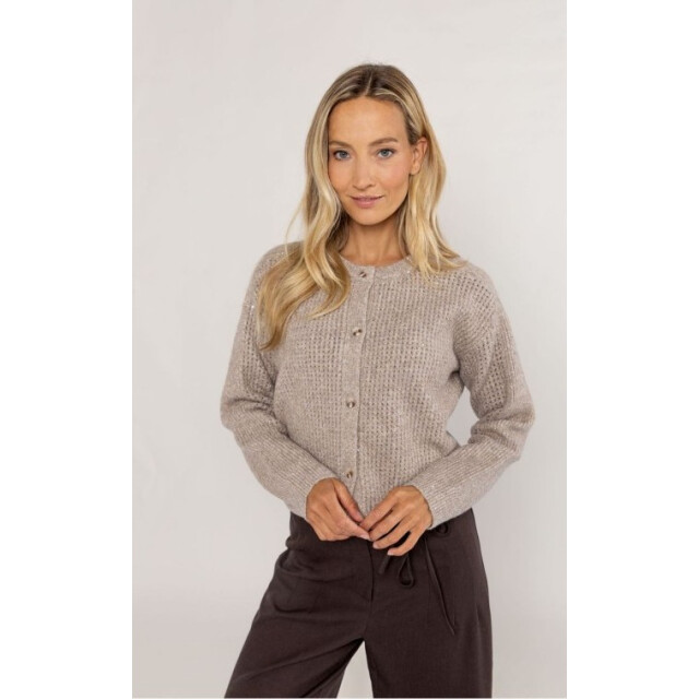 Poools Vest 533106- 533106-TAUPE large