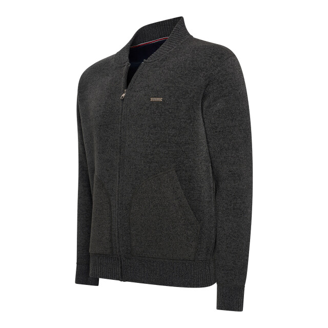 Norlund Vest silvar NORM25007-ANT-L large