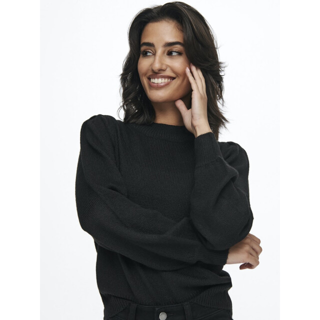 Jacqueline de Yong Jdyrue life ls pullover knt noos - 4219.80.0022 large