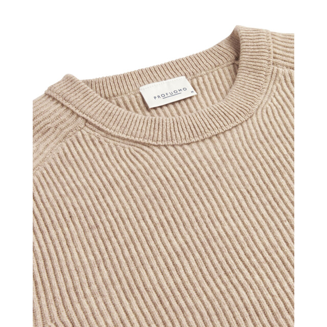Profuomo Trui ronde hals 106167-001-XXL large