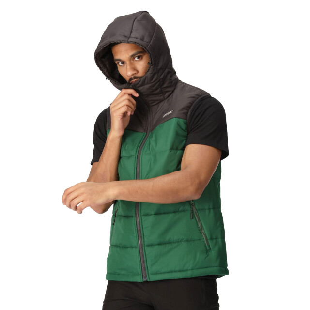 Regatta Heren nevado zwaargewicht mouwloze bodywarmer UTRG8163_asheden large