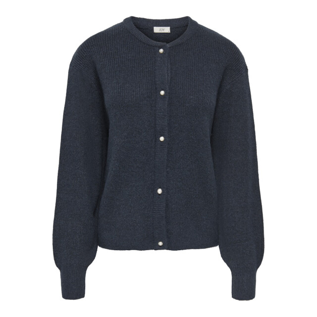 Jacqueline de Yong Jdylumi life ls button cardiga knt noos navy 4249.37.0002 large