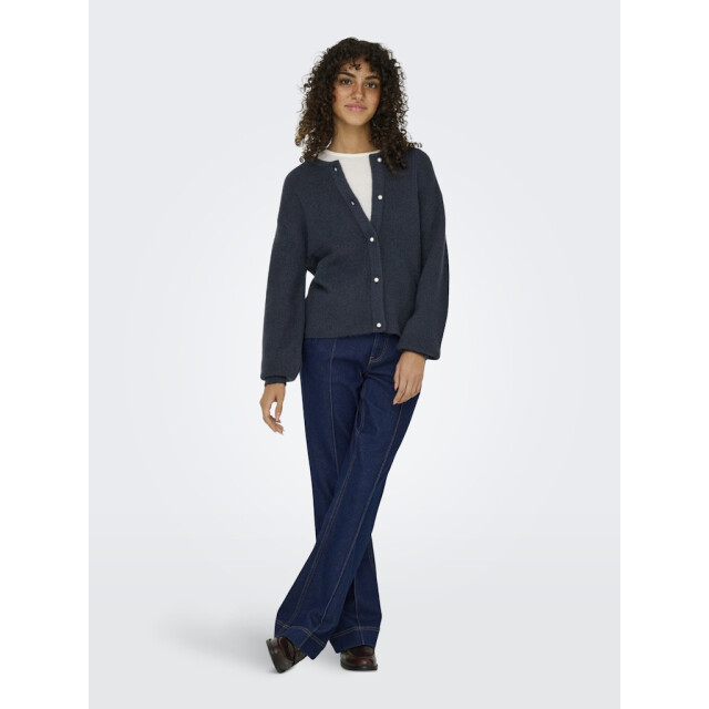 Jacqueline de Yong Jdylumi life ls button cardiga knt noos navy 4249.37.0002 large