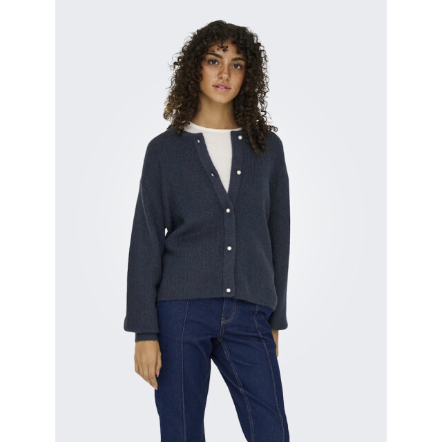 Jacqueline de Yong Jdylumi life ls button cardiga knt noos navy 4249.37.0002 large