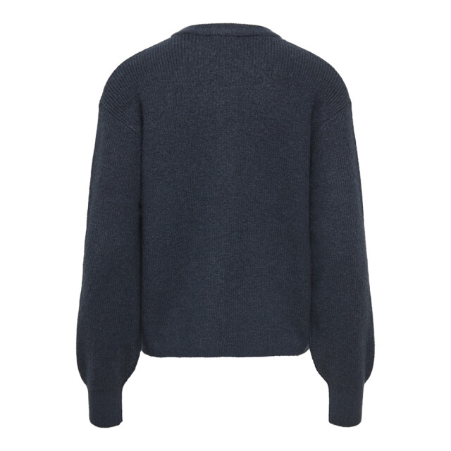 Jacqueline de Yong Jdylumi life ls button cardiga knt noos navy 4249.37.0002 large