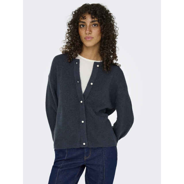 Jacqueline de Yong Jdylumi life ls button cardiga knt noos navy 4249.37.0002 large