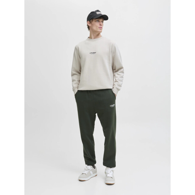 Jack & Jones Heren trui jjesoho 12278791-Moonbeam large