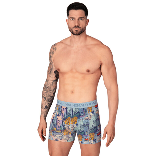 Muchachomalo Heren 10-pack light cotton U-REMIX1010-21 large