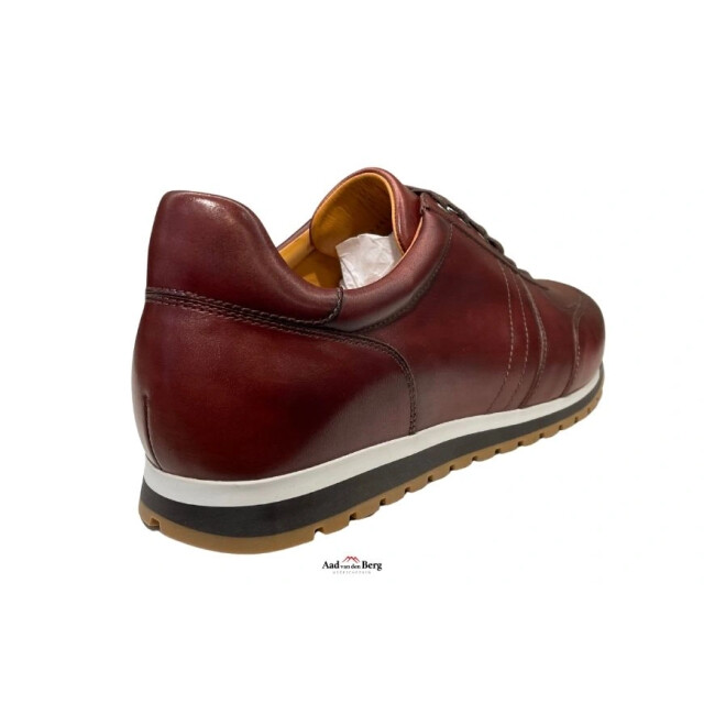 Magnanni 22652 528 Ibiza Sneakers Bruin 22652 528 Ibiza large