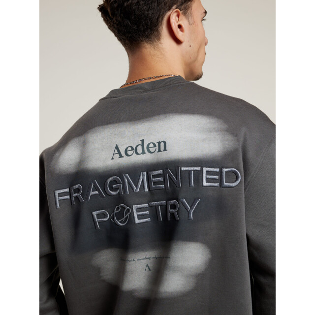 Aeden Didier sweater dark shadow A22243090-26 large