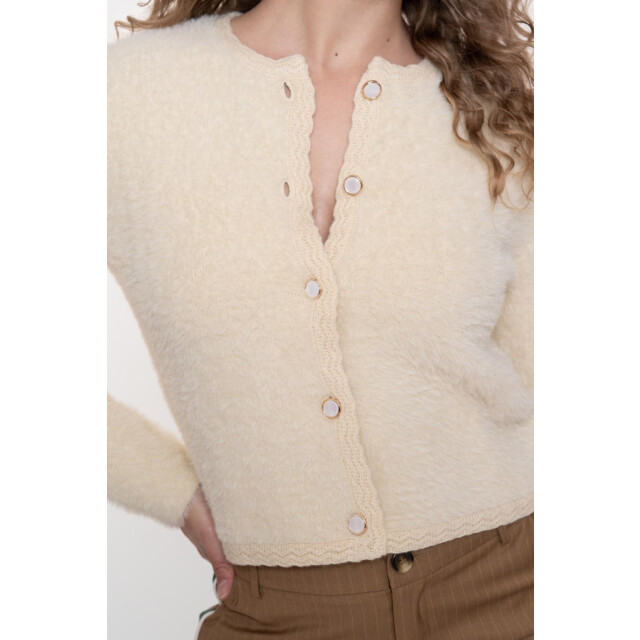 Geisha 54807-10 cardigan hairy 54807-10 large