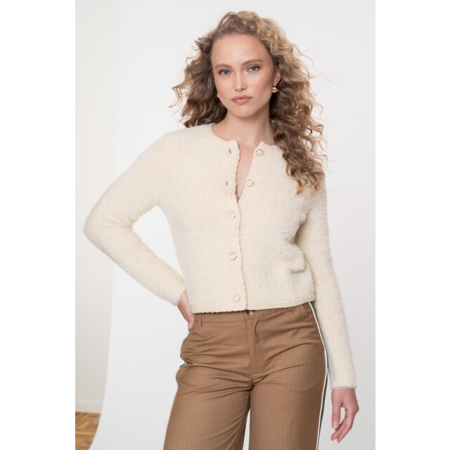 Geisha 54807-10 cardigan hairy 54807-10 large