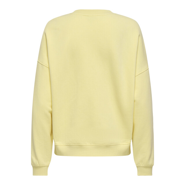 Jacqueline de Yong Jdymesa l/s o-neck emb sweat jrs no 15370526 large