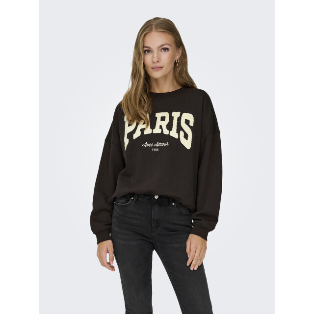Jacqueline de Yong mesa l/s o-neck emb sweat jrs no 15370526 ganache paris 06721.840.0012 large