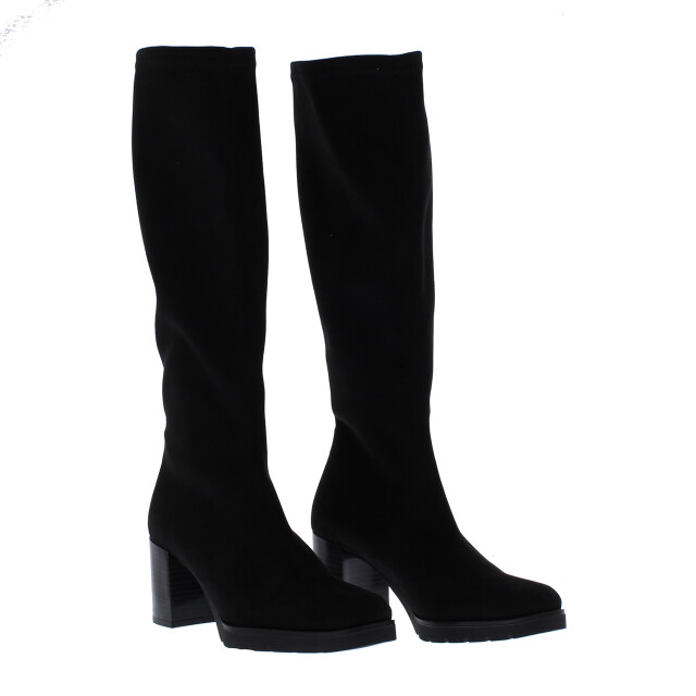 Miss Elastic Bota menphis dames laars | dames | | maat: | imitatieleer 110451 large