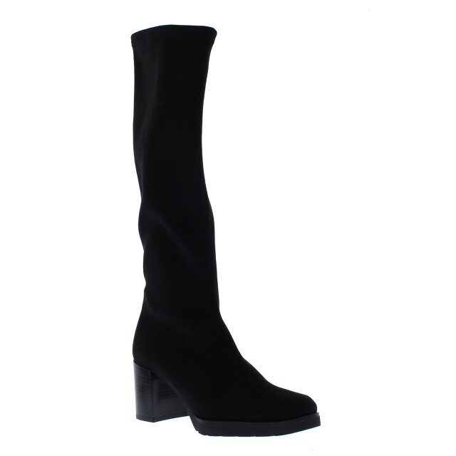 Miss Elastic Bota menphis dames laars | dames | | maat: | imitatieleer 110451 large