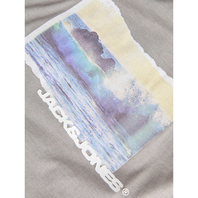 Jack & Jones Jcosago photo slub tee 12276525 large
