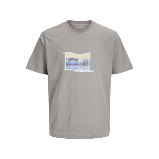 Jack & Jones Jcosago photo slub tee 12276525 large