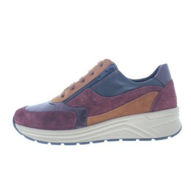 Solidus Karma 59083-50599 large