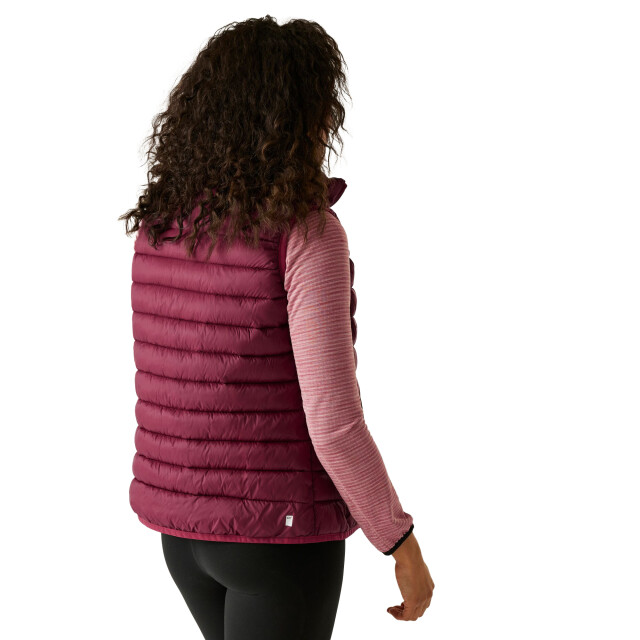 Regatta Dames marizion gilet UTRG9438_darkpimento large