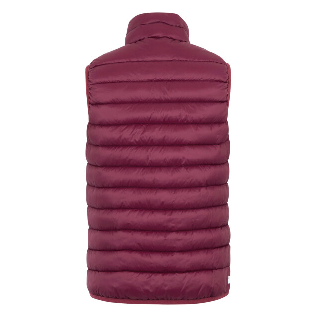 Regatta Dames marizion gilet UTRG9438_darkpimento large