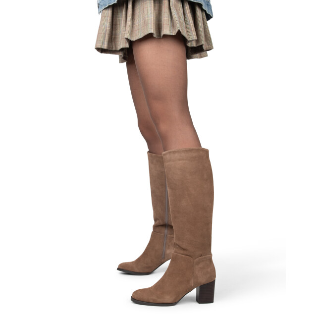 Poelman Clshn2259-03rpoe3 CLSHN2259-03RPOE3 large