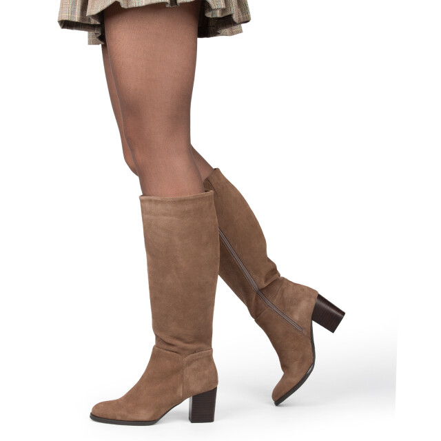 Poelman Clshn2259-03rpoe3 CLSHN2259-03RPOE3 large