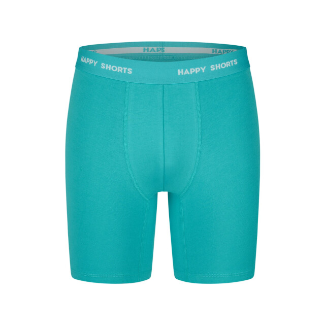 Happy Shorts Heren boxershorts met lange pijpen boxer briefs neon groen/blauw HS-J-1309-LONG large