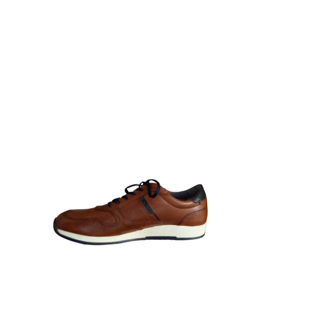 Sioux Rojaro-700 11261 Rojaro-700 11261 large Sioux Rojaro-700 11261 Rojaro-700 11261 large