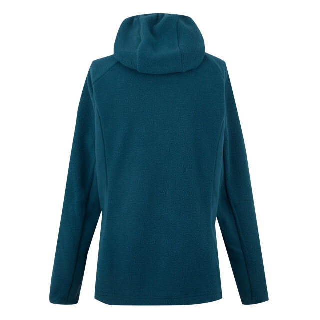 Regatta Dames elinn fleecejas met capuchon UTRG12150_black large