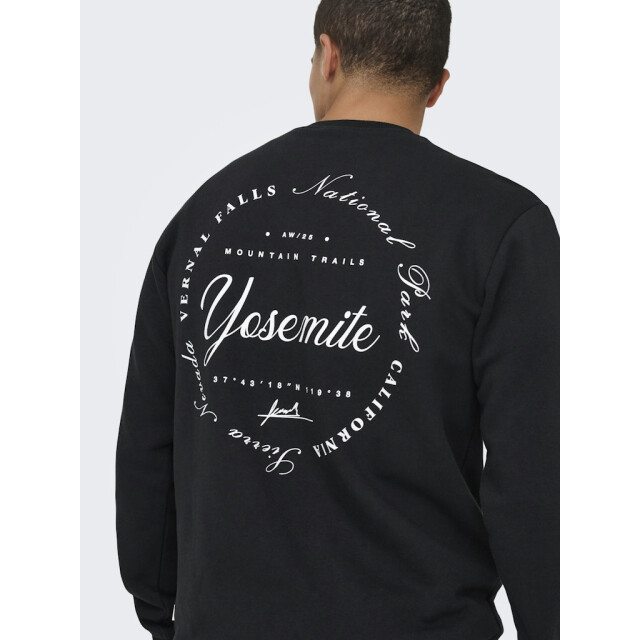 Only & Sons Onsceres ski ls reg crew swe cs - 5209.80.0023 large