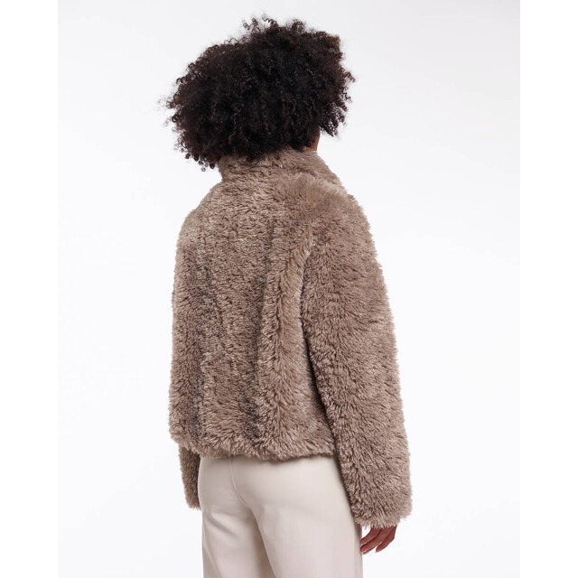 Rino & Pelle Jack sallie.7002514 Rino & Pelle Jack Sallie.7002514 large