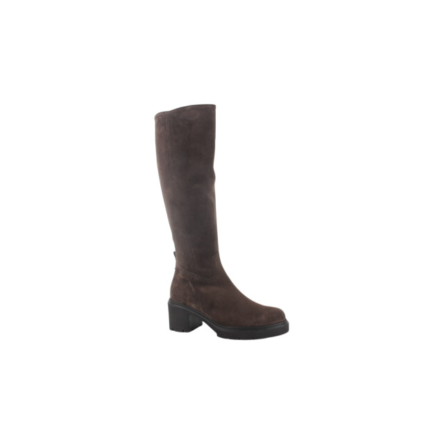 Gabor Gabor 71.879.78 Laarzen Bruin Gabor 71.879.78 large Gabor Gabor 71.879.78 Laarzen Bruin Gabor 71.879.78 large