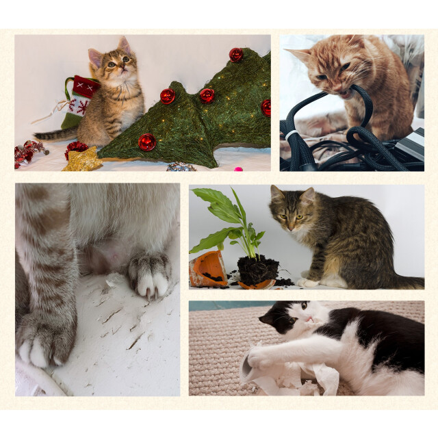 4goodz Krabpaal met sisal krabpaal met zacht pluche kattenspeeltje 50 x 30 x 81,5 cm 3349605 large 4goodz Krabpaal met sisal krabpaal met zacht pluche kattenspeeltje 50 x 30 x 81,5 cm 3349605 large