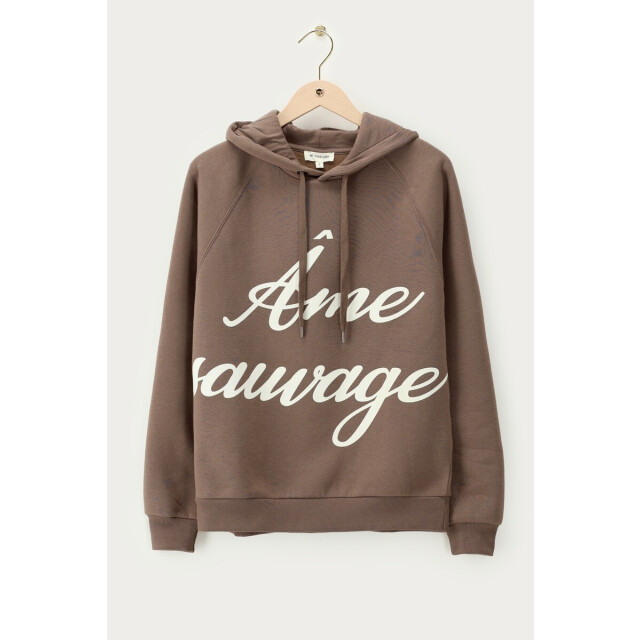 My Jewellery Hoodie 'ame sauvage' taupe 4209.77.0003 large