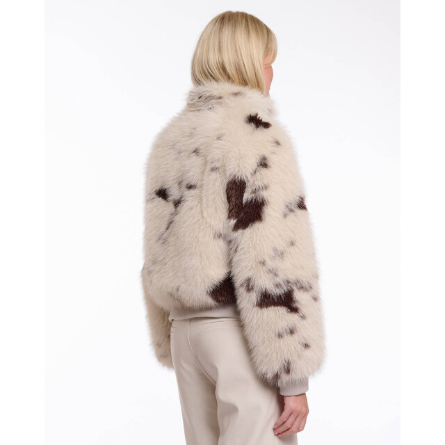 Rino & Pelle Jack ambra.7012514 Rino & Pelle Jack Ambra.7012514 large