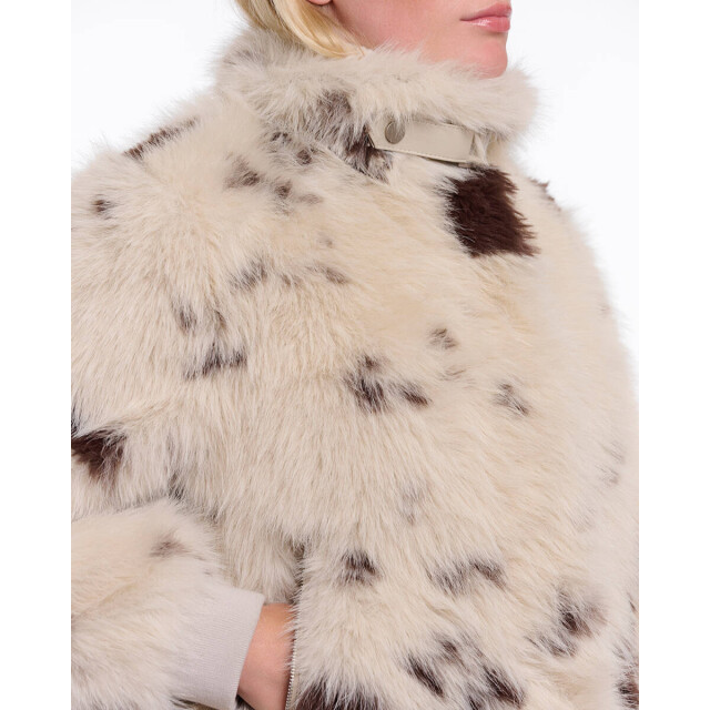 Rino & Pelle Jack ambra.7012514 Rino & Pelle Jack Ambra.7012514 large