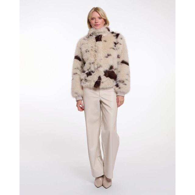 Rino & Pelle Jack ambra.7012514 Rino & Pelle Jack Ambra.7012514 large