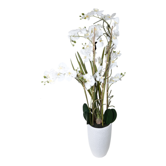 Kopu ® kunstplant orchidee 160 cm in hoge bloempot phalaenopsis 2612725 large