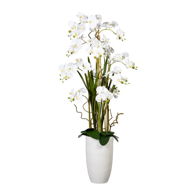 Kopu ® kunstplant orchidee 160 cm in hoge bloempot phalaenopsis 2612725 large