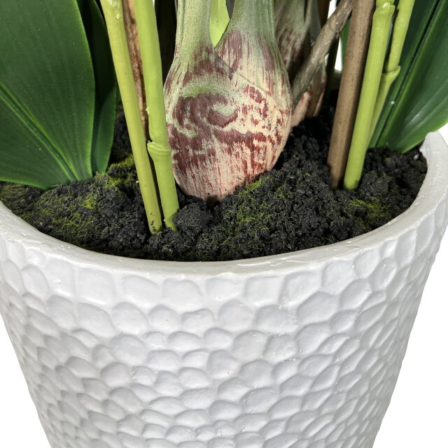 Kopu ® kunstplant orchidee 160 cm in hoge bloempot phalaenopsis 2612725 large