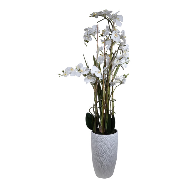 Kopu ® kunstplant orchidee 160 cm in hoge bloempot phalaenopsis 2612725 large
