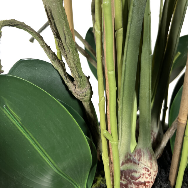 Kopu ® kunstplant orchidee 160 cm in hoge bloempot phalaenopsis 2612725 large