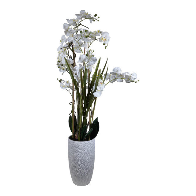 Kopu ® kunstplant orchidee 160 cm in hoge bloempot phalaenopsis 2612725 large