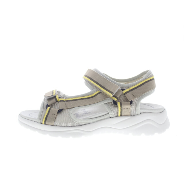 Solidus Haika 62212-20968 large Solidus Haika 62212-20968 large