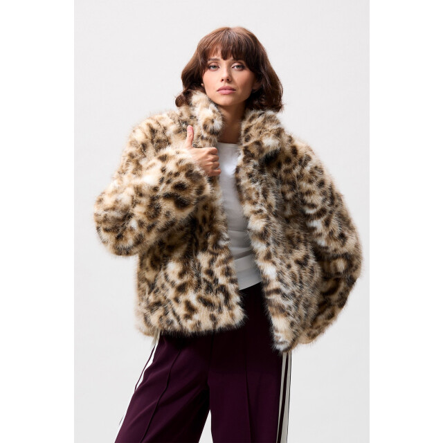 Catwalk Junkie 250227 leopard fur jacket 2504022407 Leopard fur jacket large Catwalk Junkie 250227 leopard fur jacket 2504022407 Leopard fur jacket large