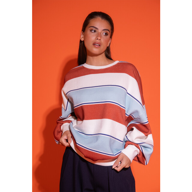 Studio Amaya Daisey sweater Daisey Sweater large